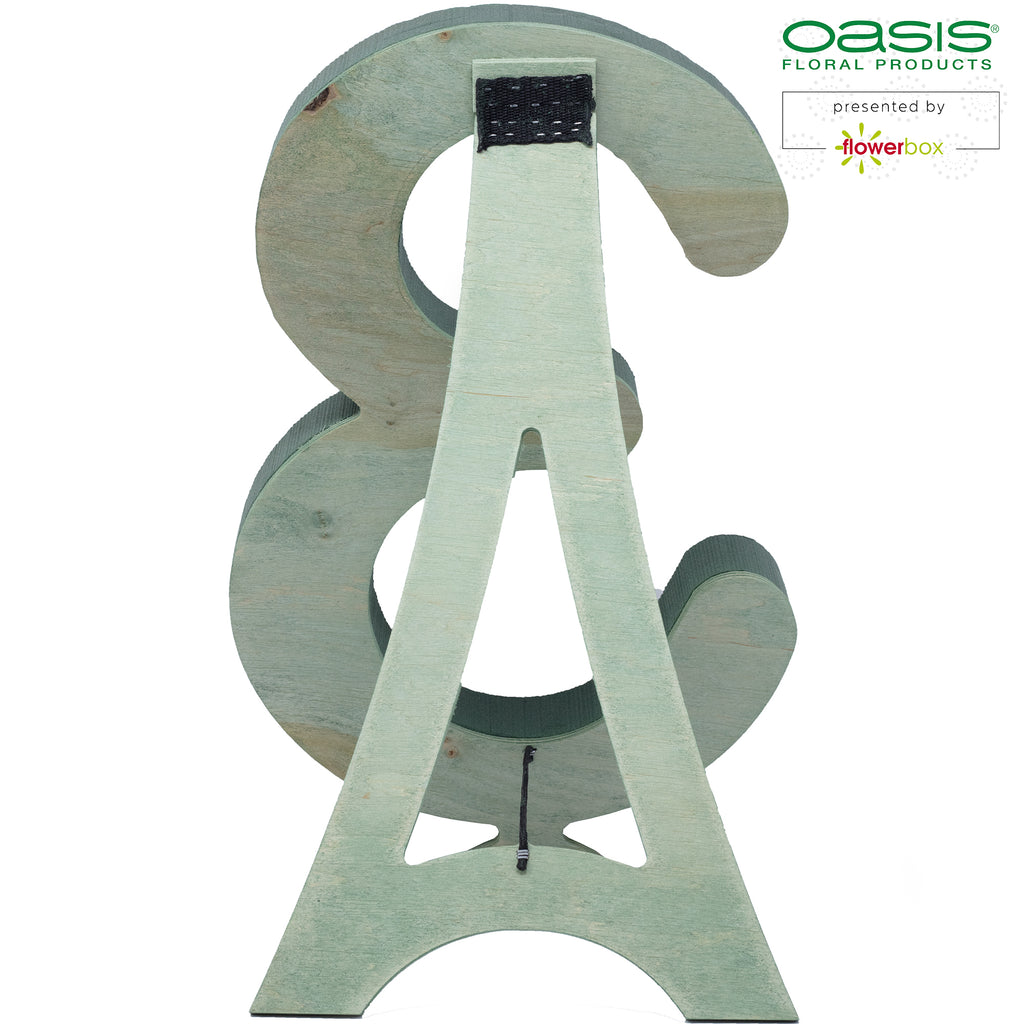 OASIS® BIOLINE® Ziffer 3 - 40 x 26 x 6 cm