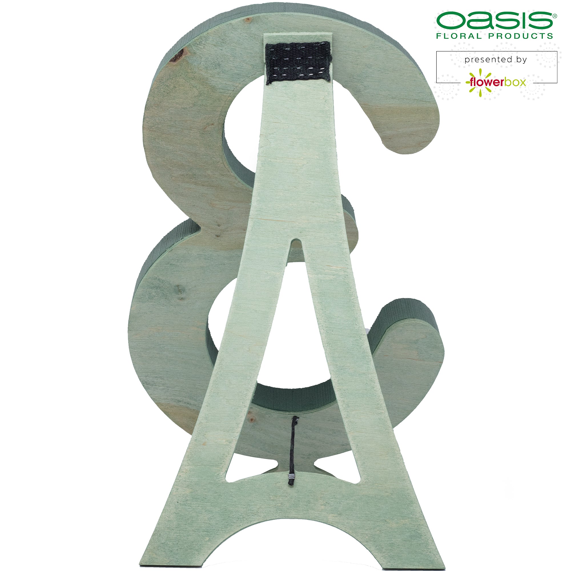 OASIS® BIOLINE® Ziffer 3 - 40 x 26 x 6 cm
