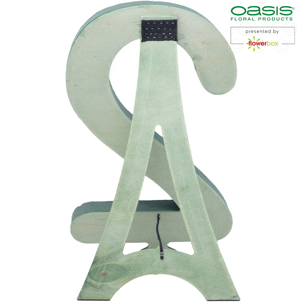 OASIS® BIOLINE® Ziffer 2 - 40 x 26 x 6 cm