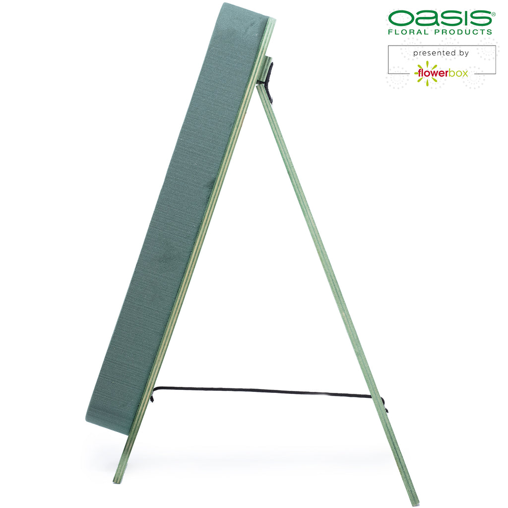 OASIS® BIOLINE® Ziffer 1 - 40 x 22 x 6 cm