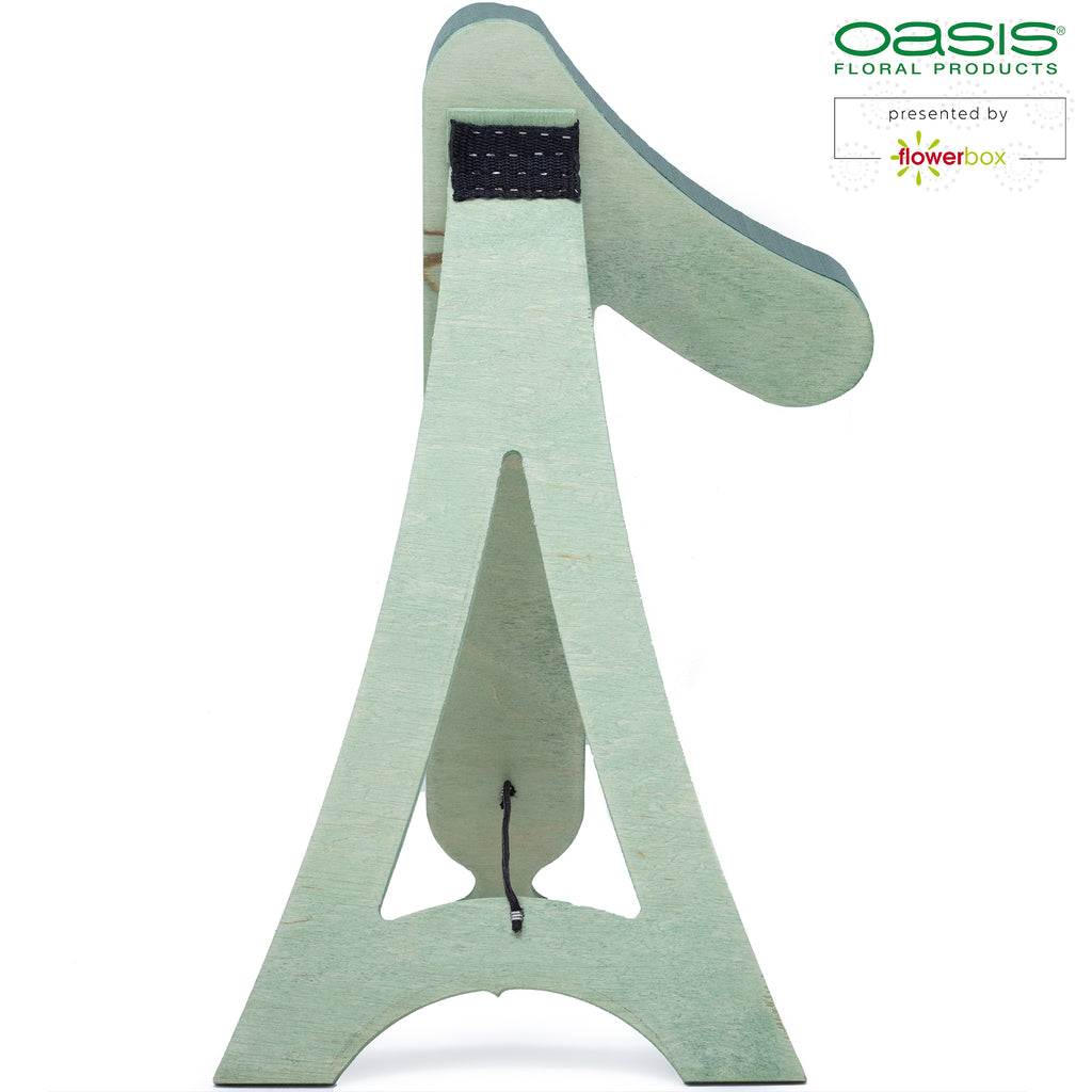 OASIS® BIOLINE® Ziffer 1 - 40 x 22 x 6 cm