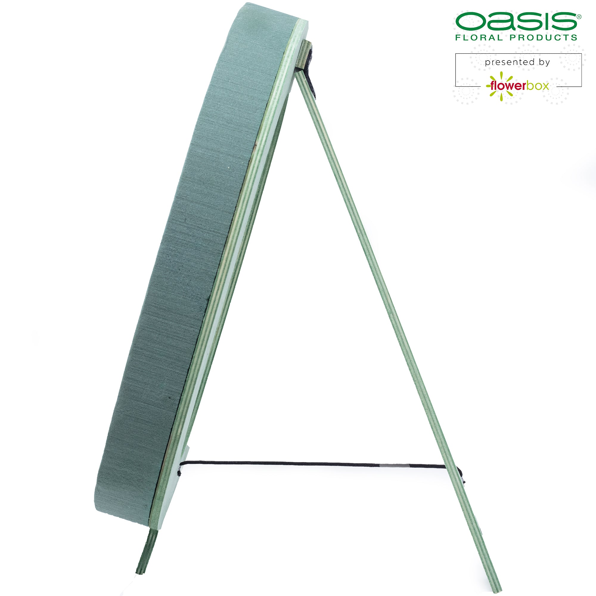 OASIS® BIOLINE® Ziffer 0 - 40 x 26 x 6 cm