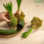 OASIS® BIOLIT® Kranz - 7 x 68 cm Ø - innen: 47 cm Ø - 2 St.