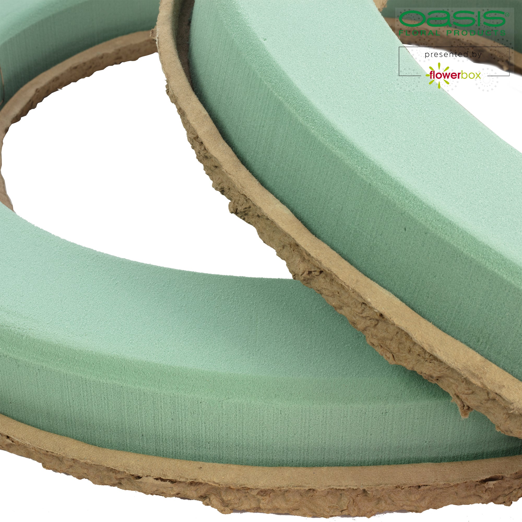 OASIS® BIOLIT® Kranz - 7 x 68 cm Ø - innen: 47 cm Ø - 2 St.