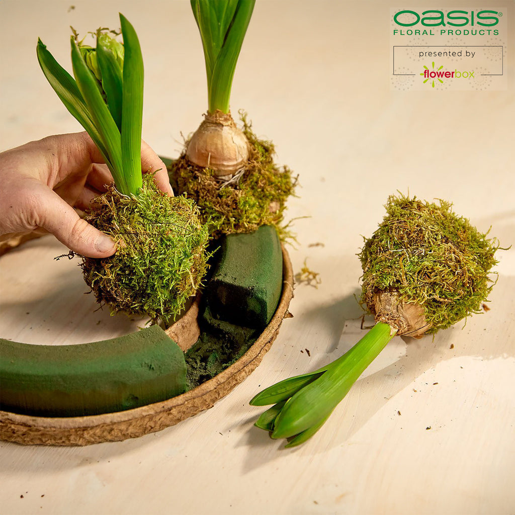 OASIS® BIOLIT® Kranz - 7 x 58 cm Ø - innen: 43 cm Ø - 2 St.