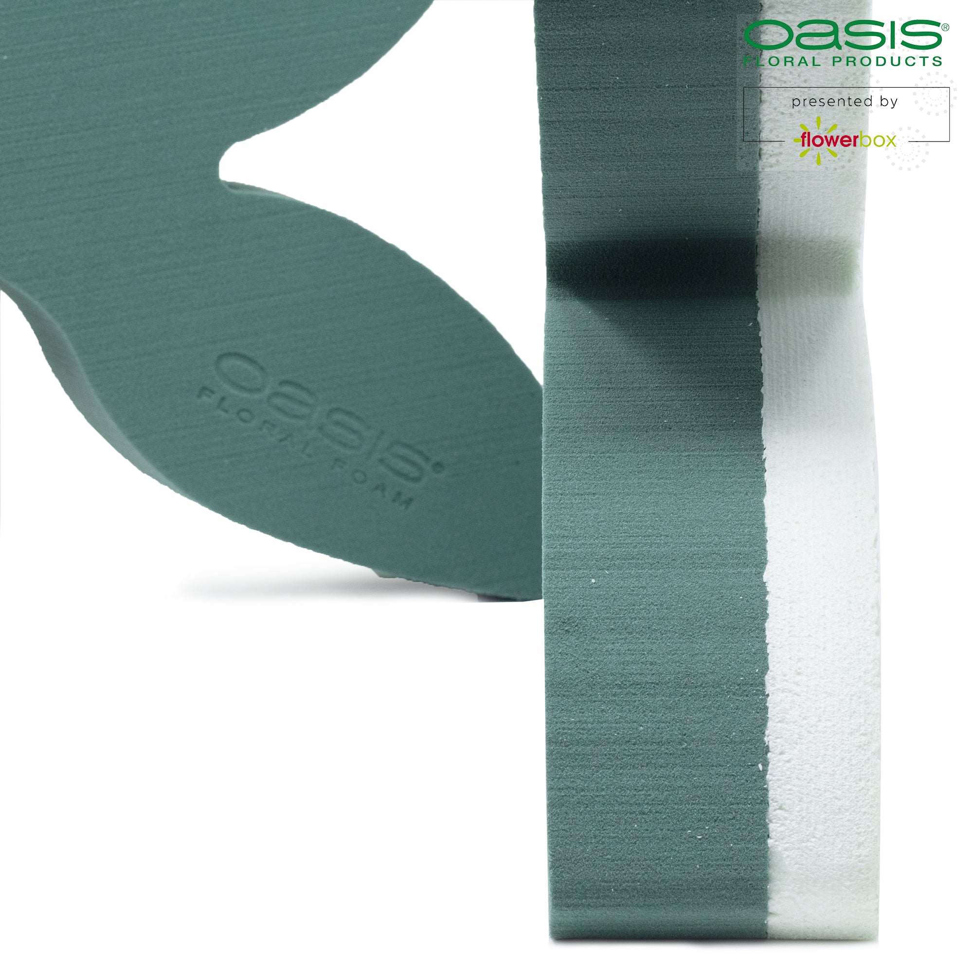 OASIS® butterfly - 34.5 x 27.5 x 6 cm - 2 pcs.