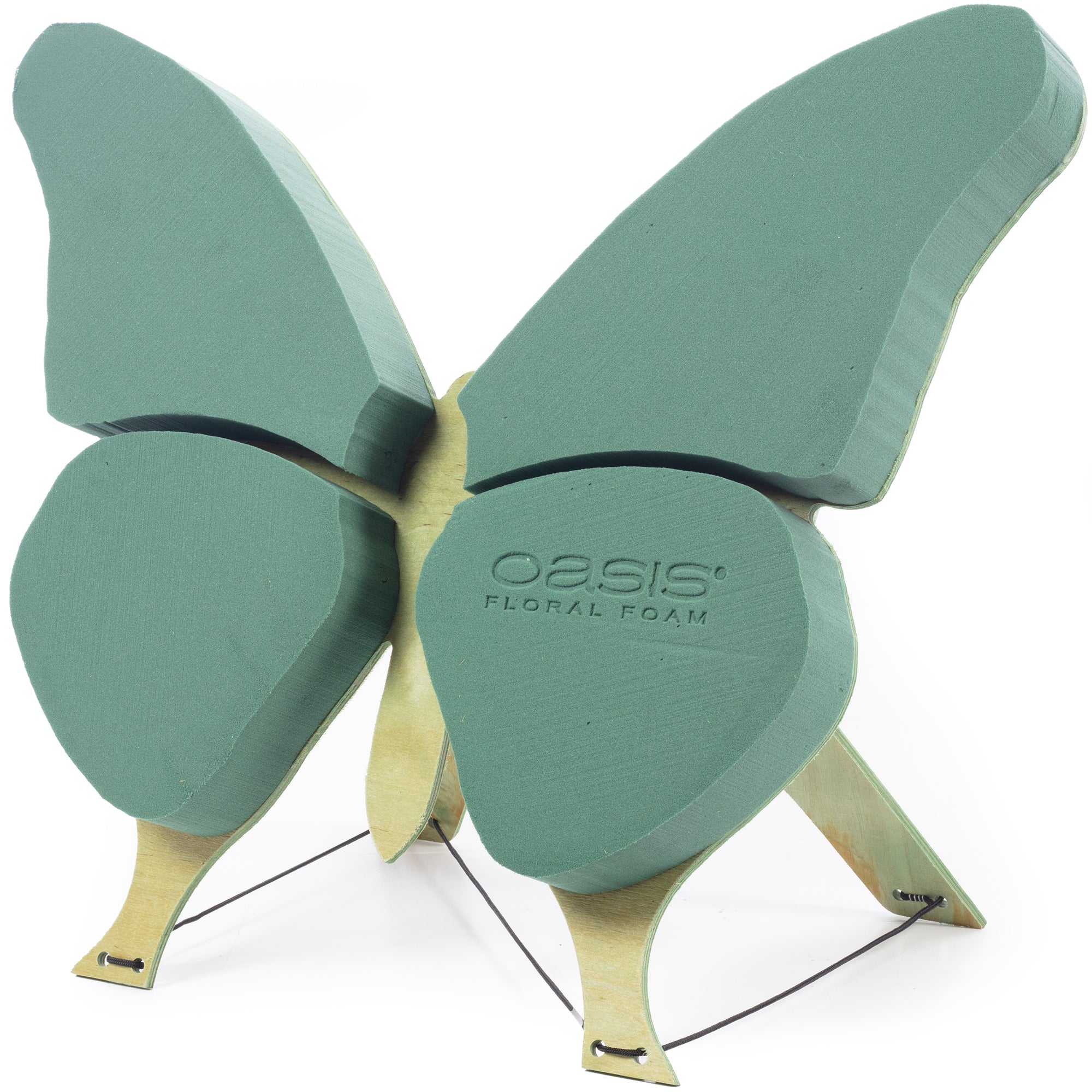 Papillon OASIS® BIOLINE® - 56 x 40 x 6 cm