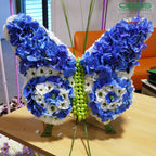 Papillon OASIS® BIOLINE® - 56 x 40 x 6 cm