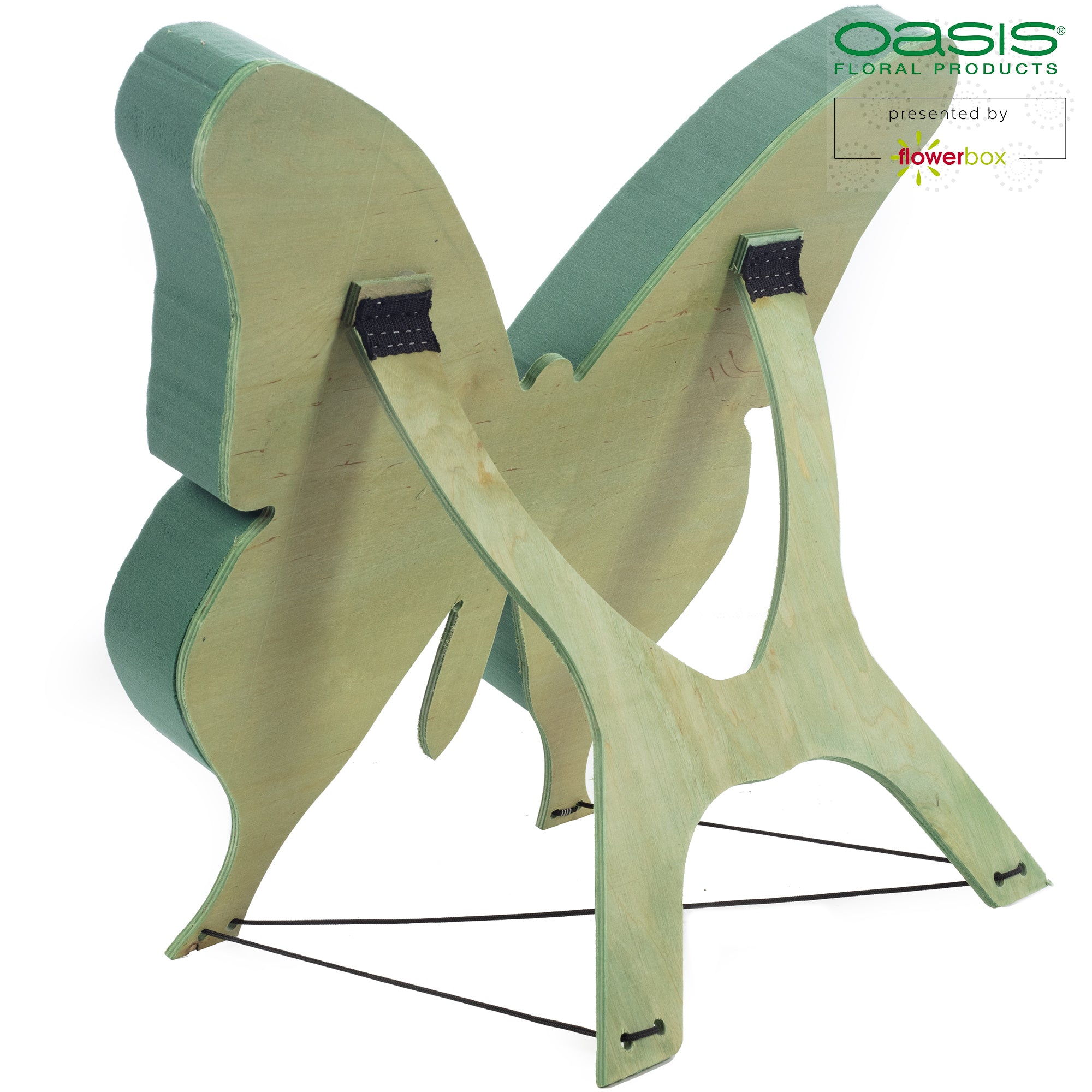 Papillon OASIS® BIOLINE® - 56 x 40 x 6 cm