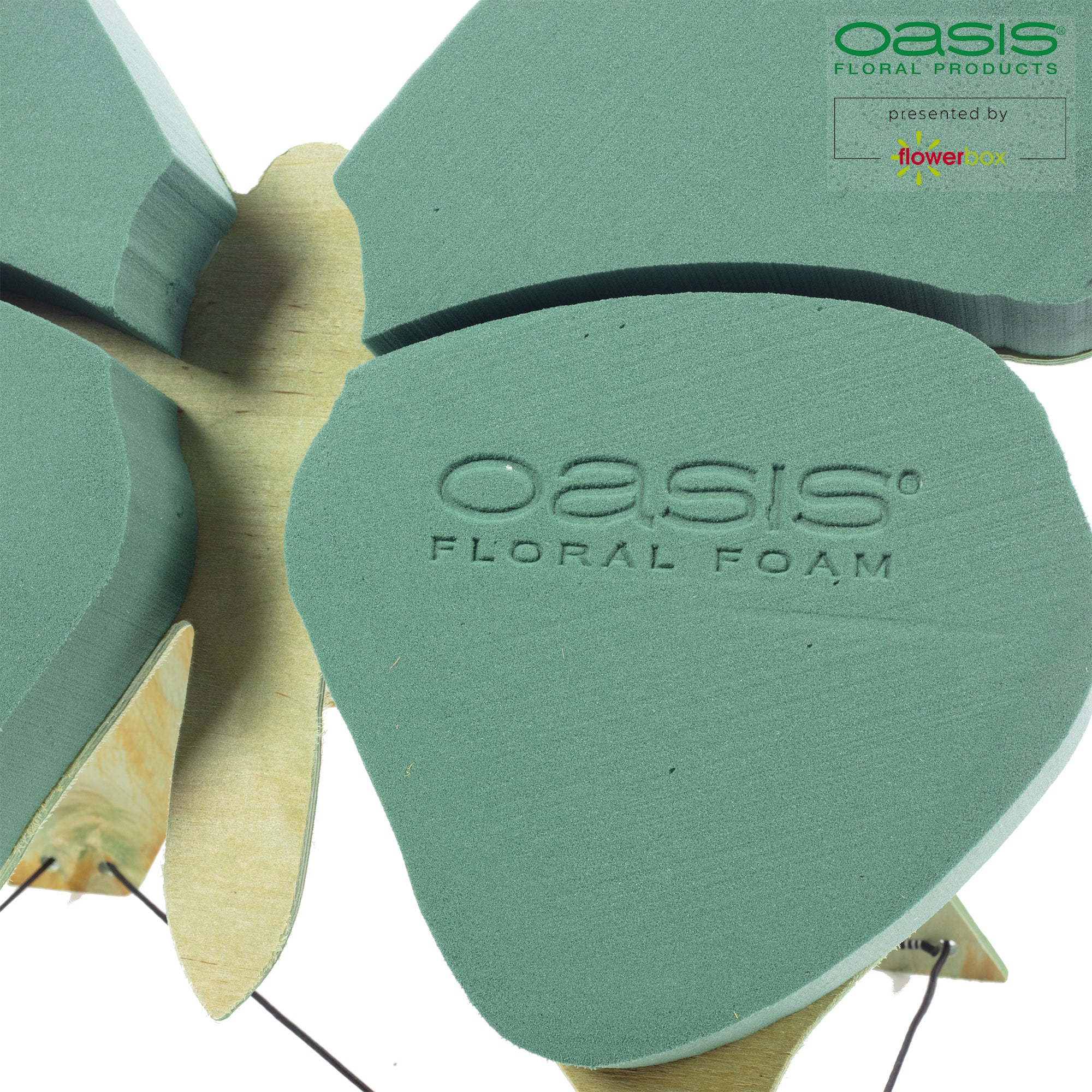Papillon OASIS® BIOLINE® - 56 x 40 x 6 cm
