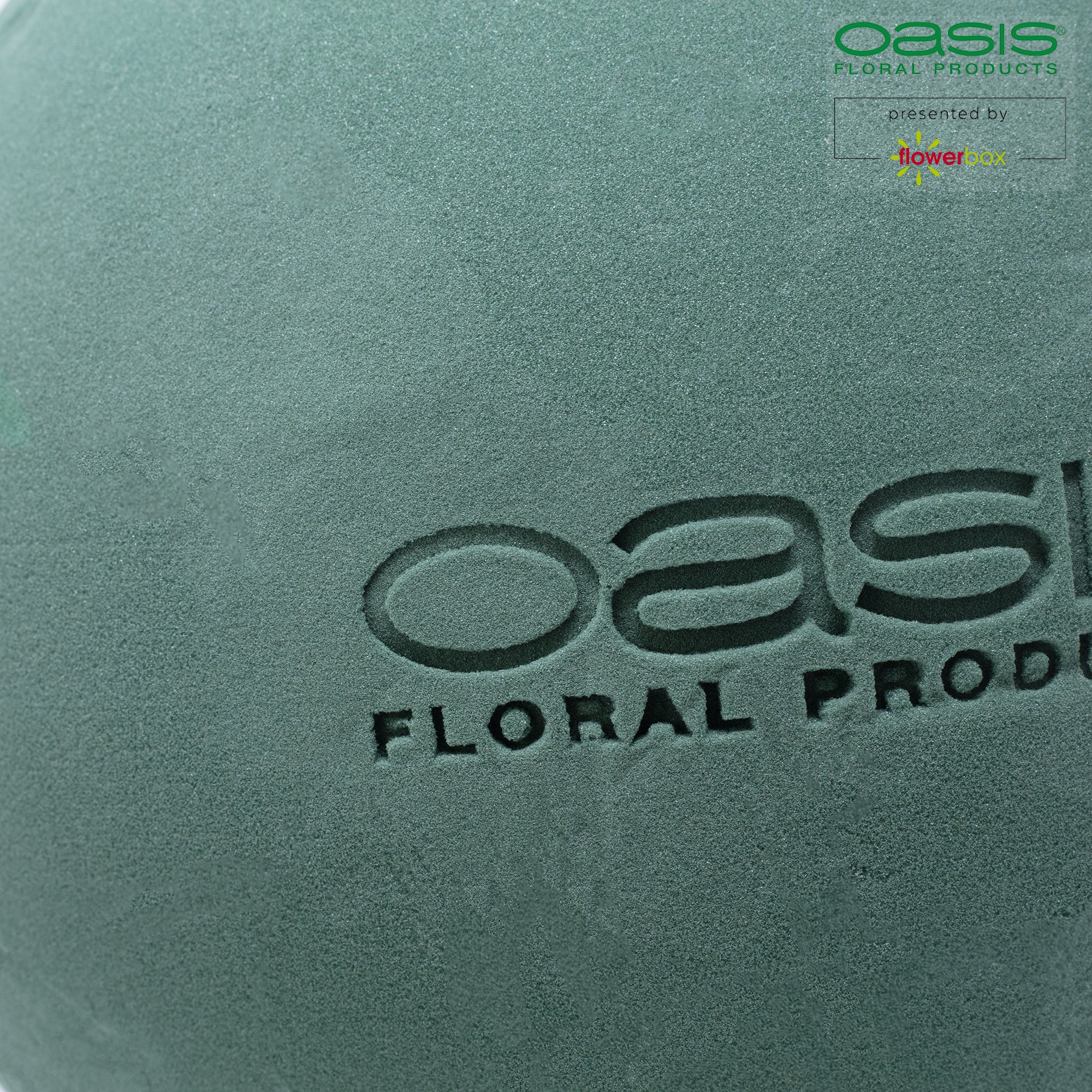 OASIS® IDEAL ball - 25 cm Ø