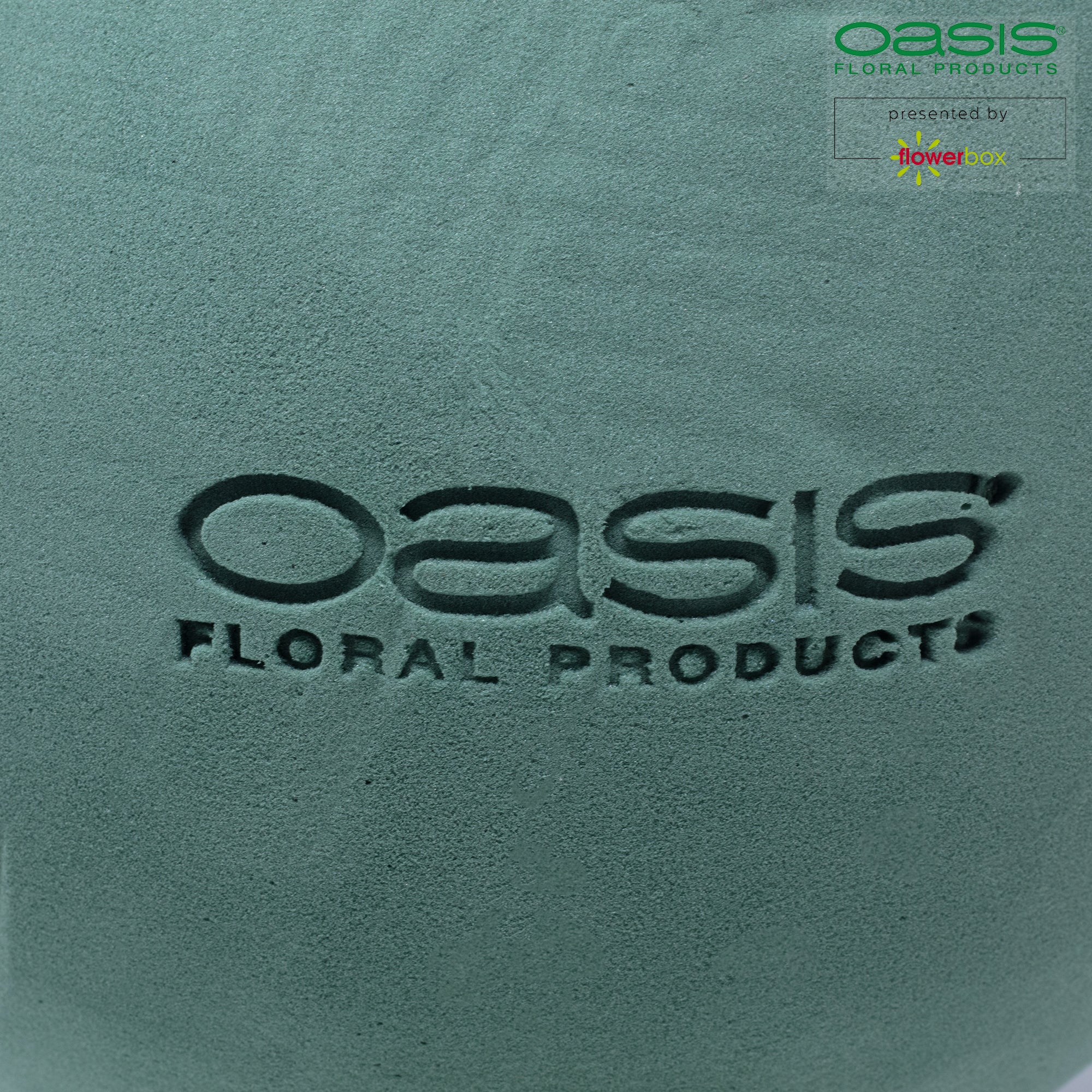 OASIS® IDEAL ball - 30 cm Ø