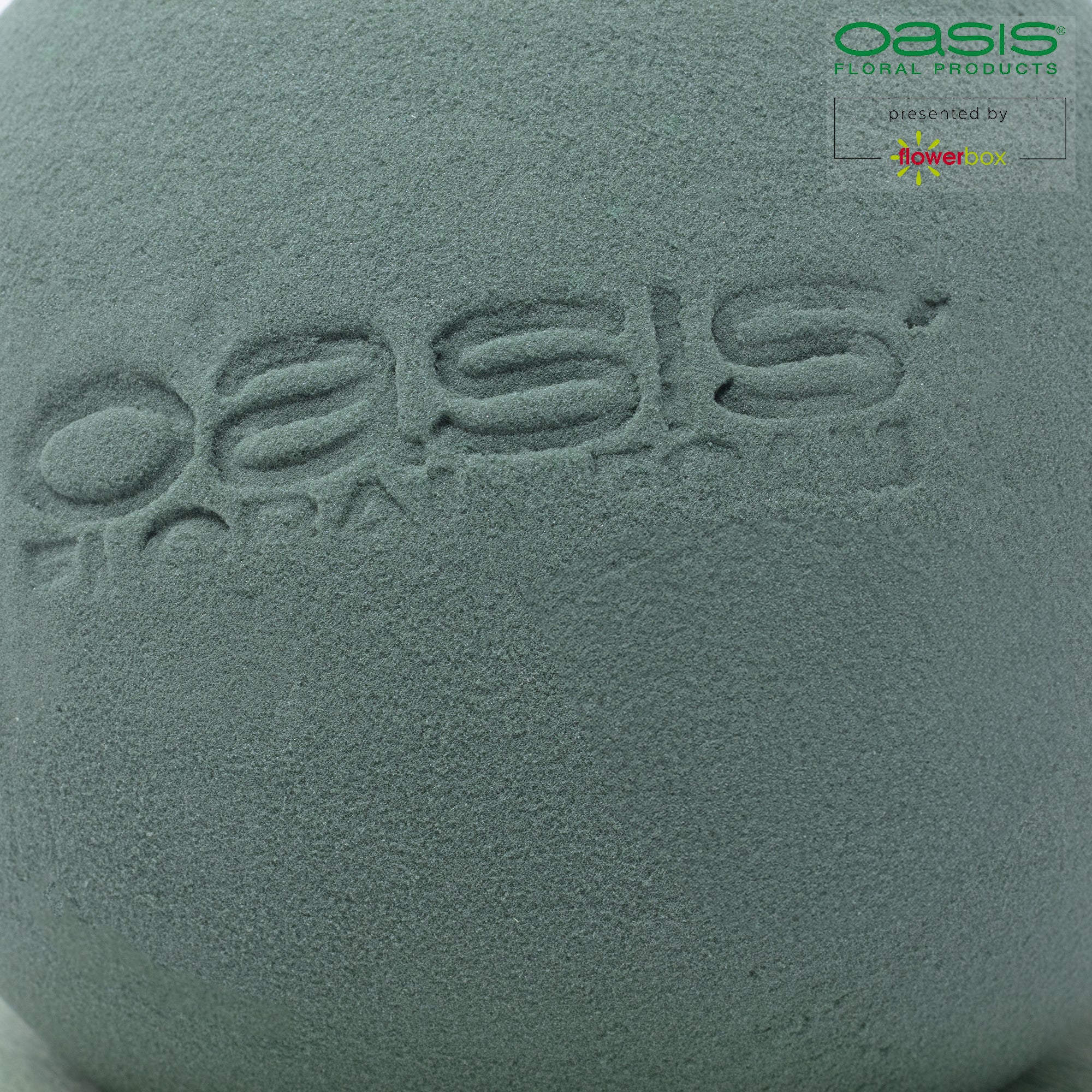 Balle OASIS® BIOLINE® - 20 cm Ø