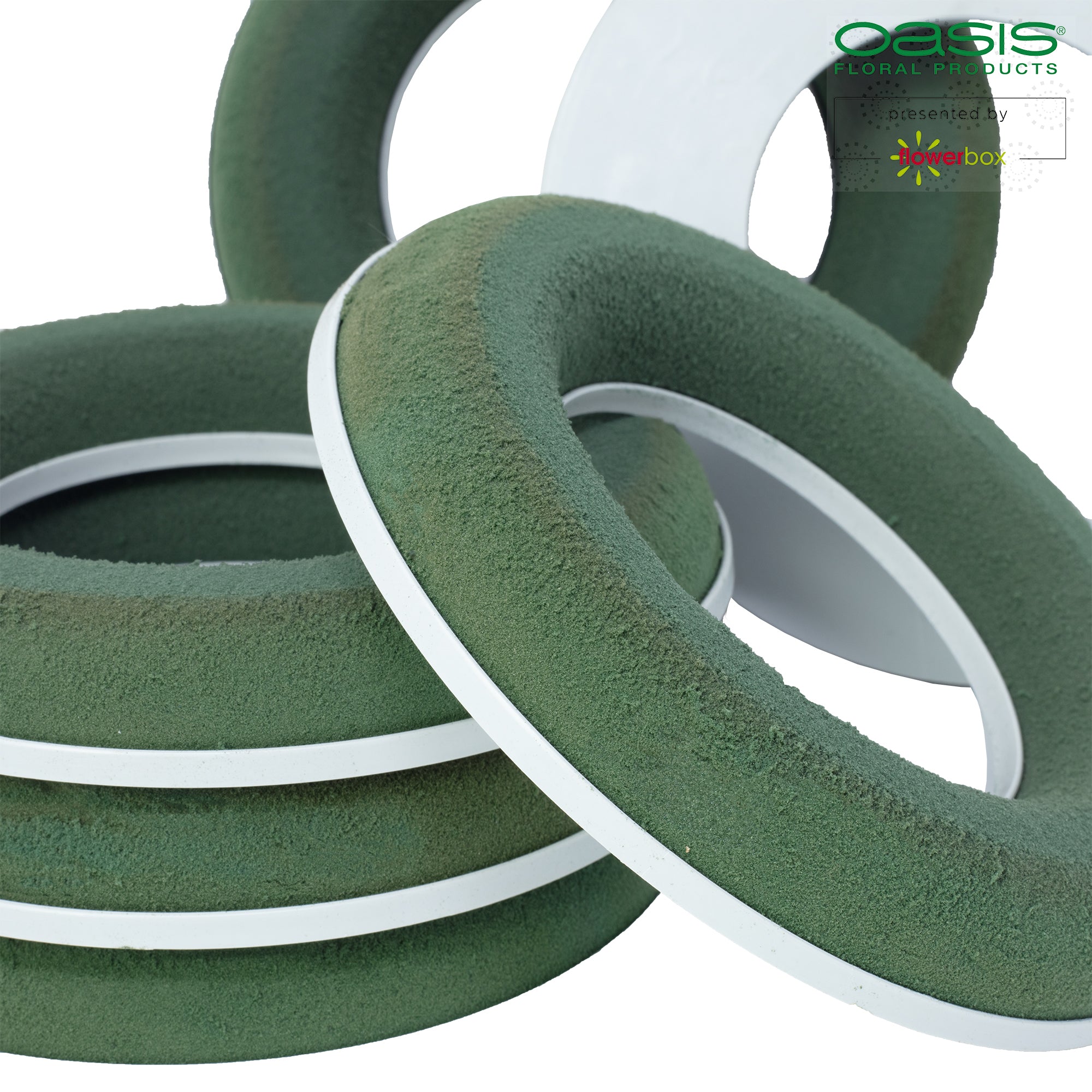 OASIS® IDEAL SOLO Ring - 2,5 x 15 cm Ø,  innen: 8,7 cm Ø - 6 St.