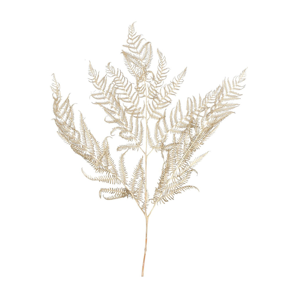 Bracken Farn - 10 Stück/Bund - konserviert - L60 cm, B40 cm - gold