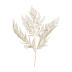 Bracken Farn - 10 Stück/Bund - konserviert - L60 cm, B40 cm - gold