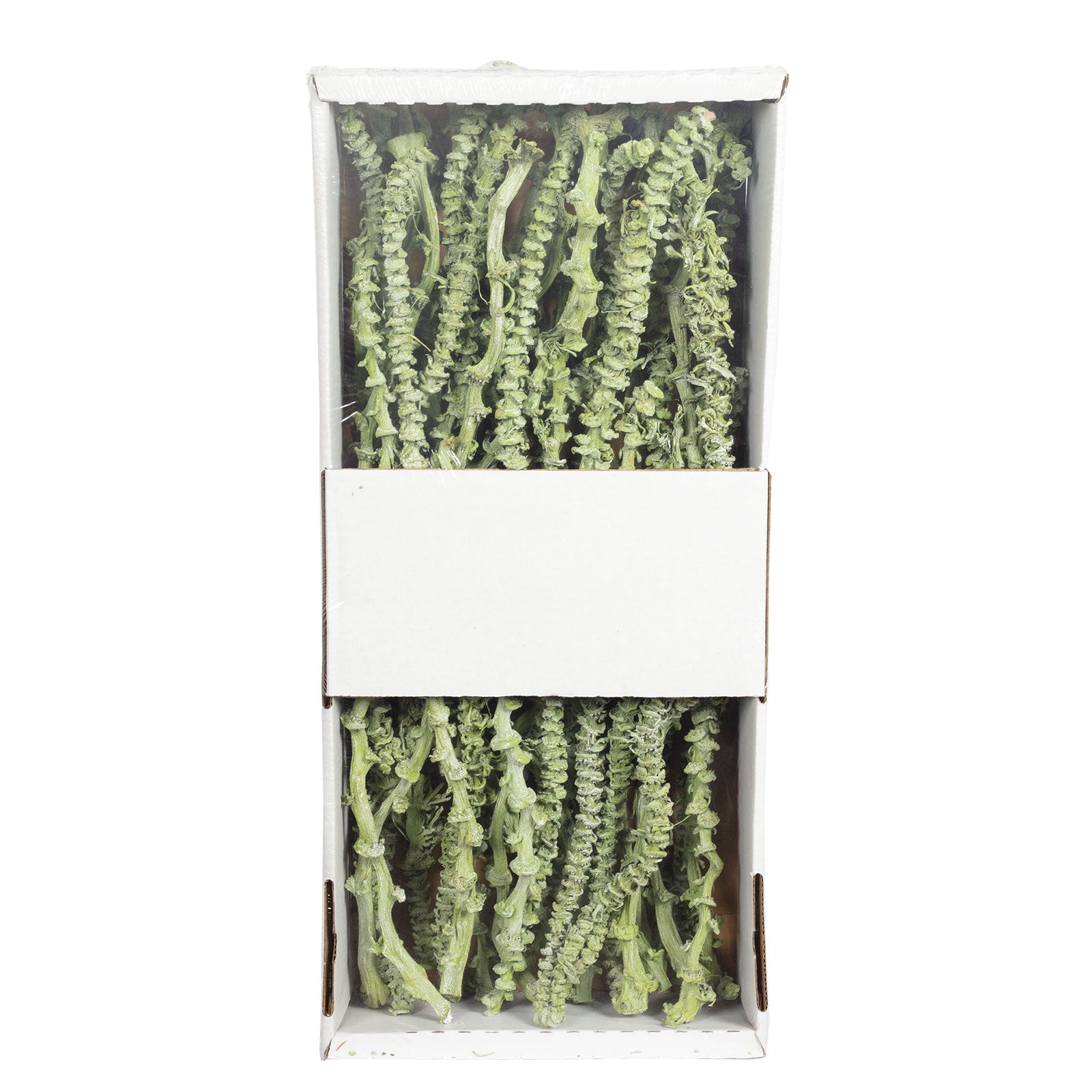 Bananastem/stiel - 50 Stück - frost-grün