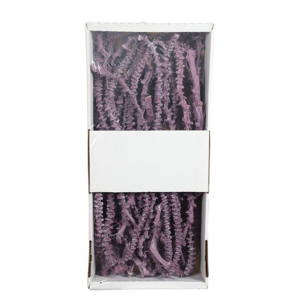 Bananastem/stiel - 50 Stück - frost-brombeer