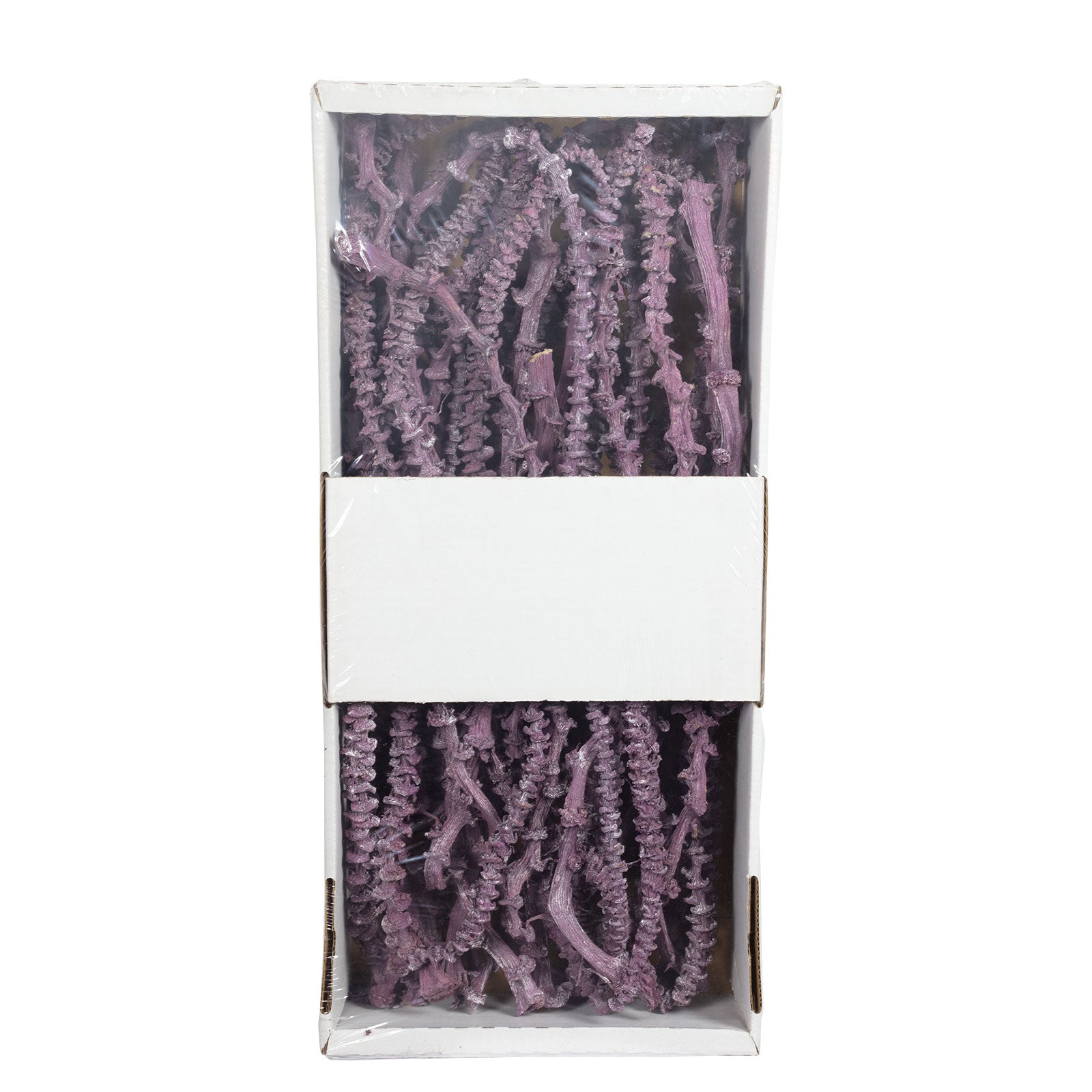 Bananastem/stiel - 50 Stück - frost-brombeer