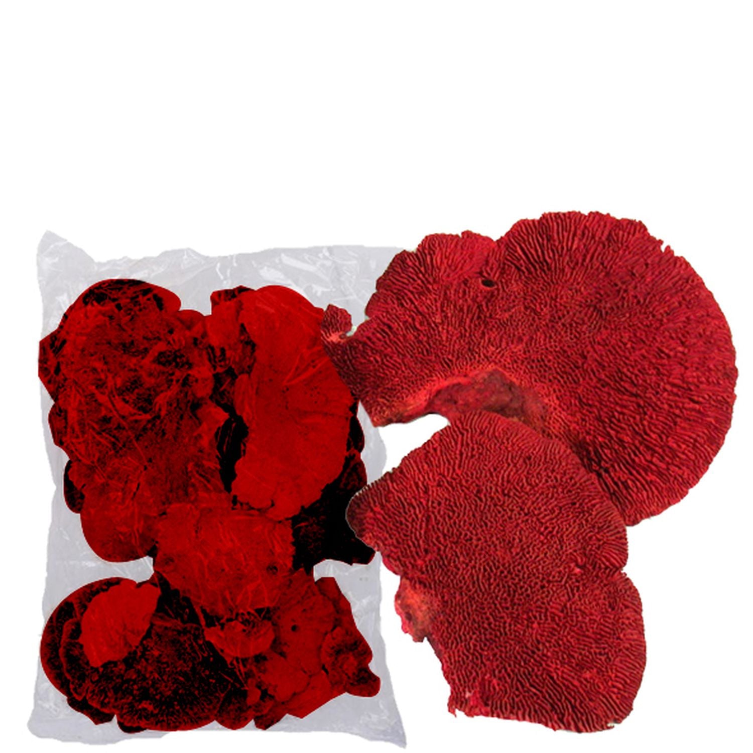 Baumschwamm - 1 kg - rot