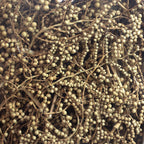 Canella normal - 40 Stück/Box - natur