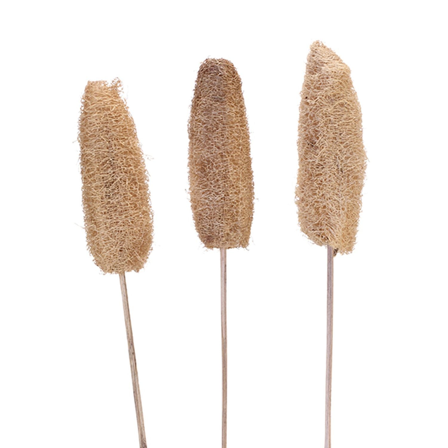 Luffa-Kopf am Stiel - 50 Stück - Poly - natur