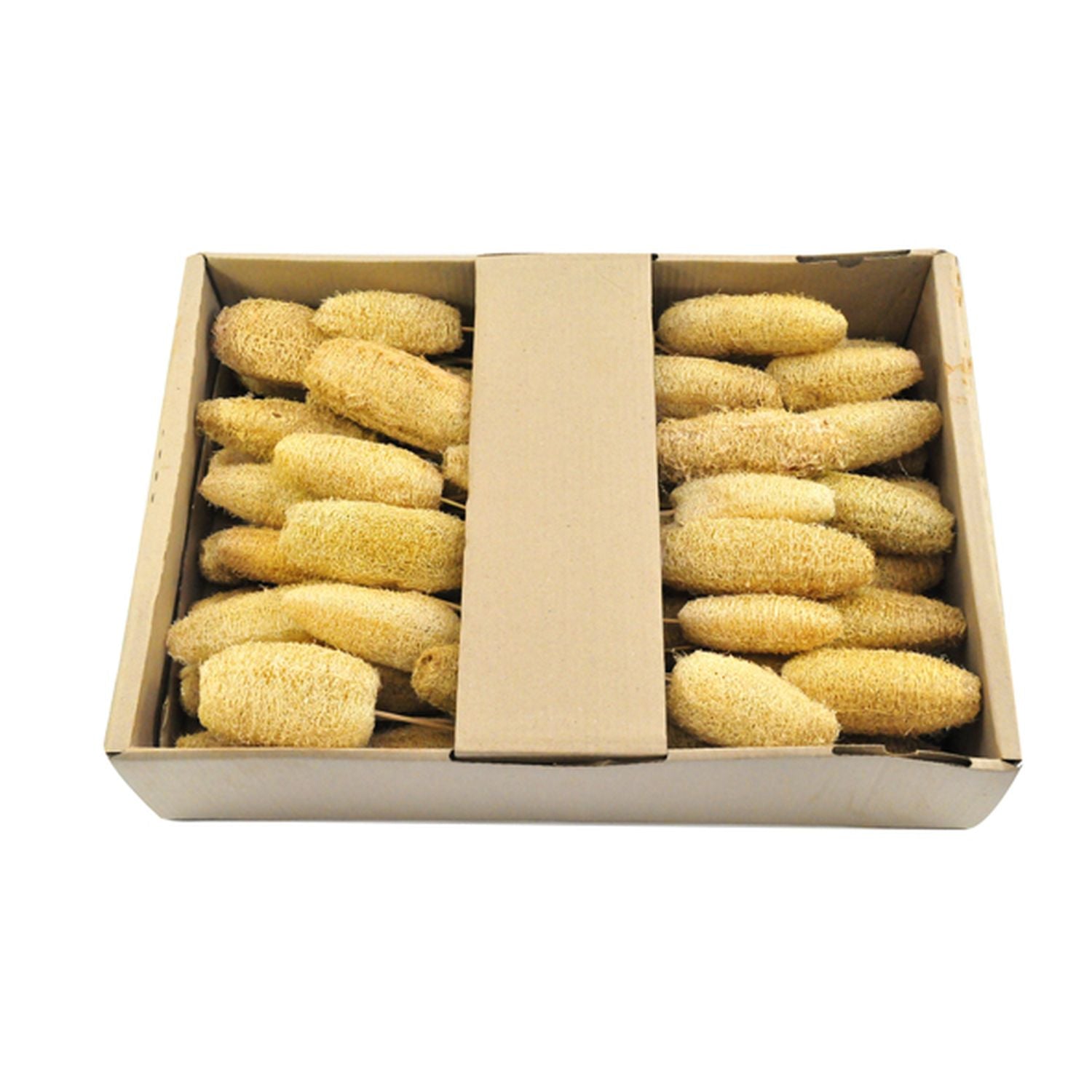 Luffa-Kopf am Stiel - 50 Stück - Poly - natur