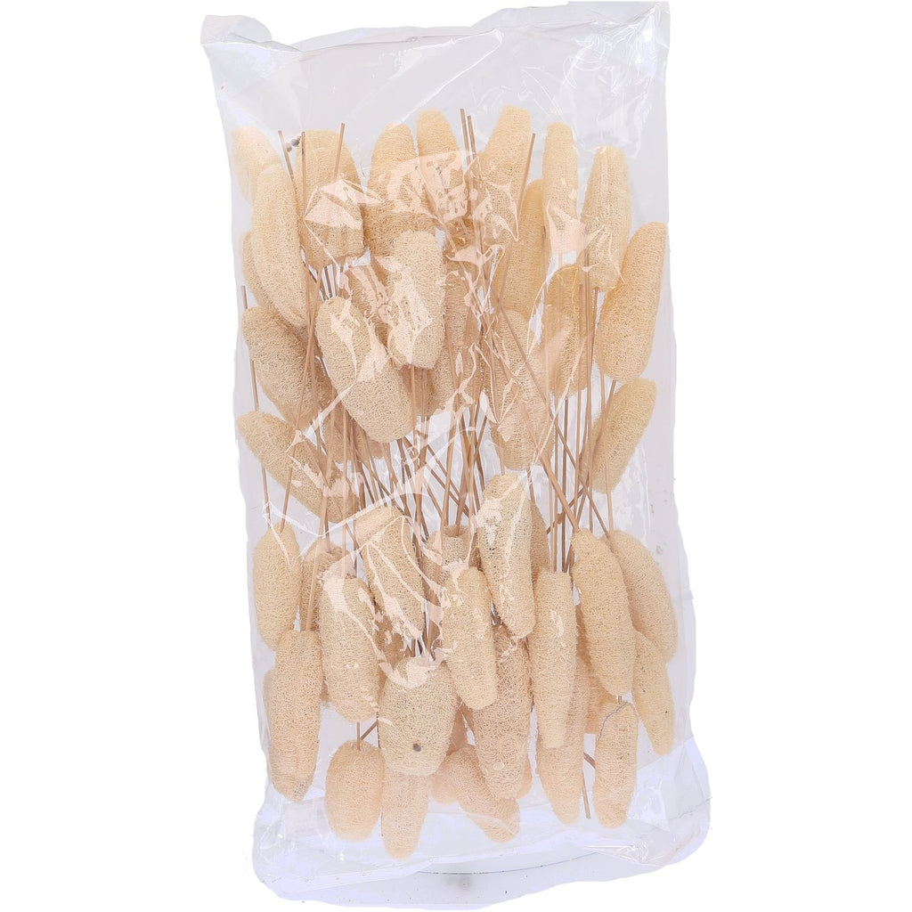 Luffa-Kopf am Stiel - 50 Stück - Poly - gebleicht