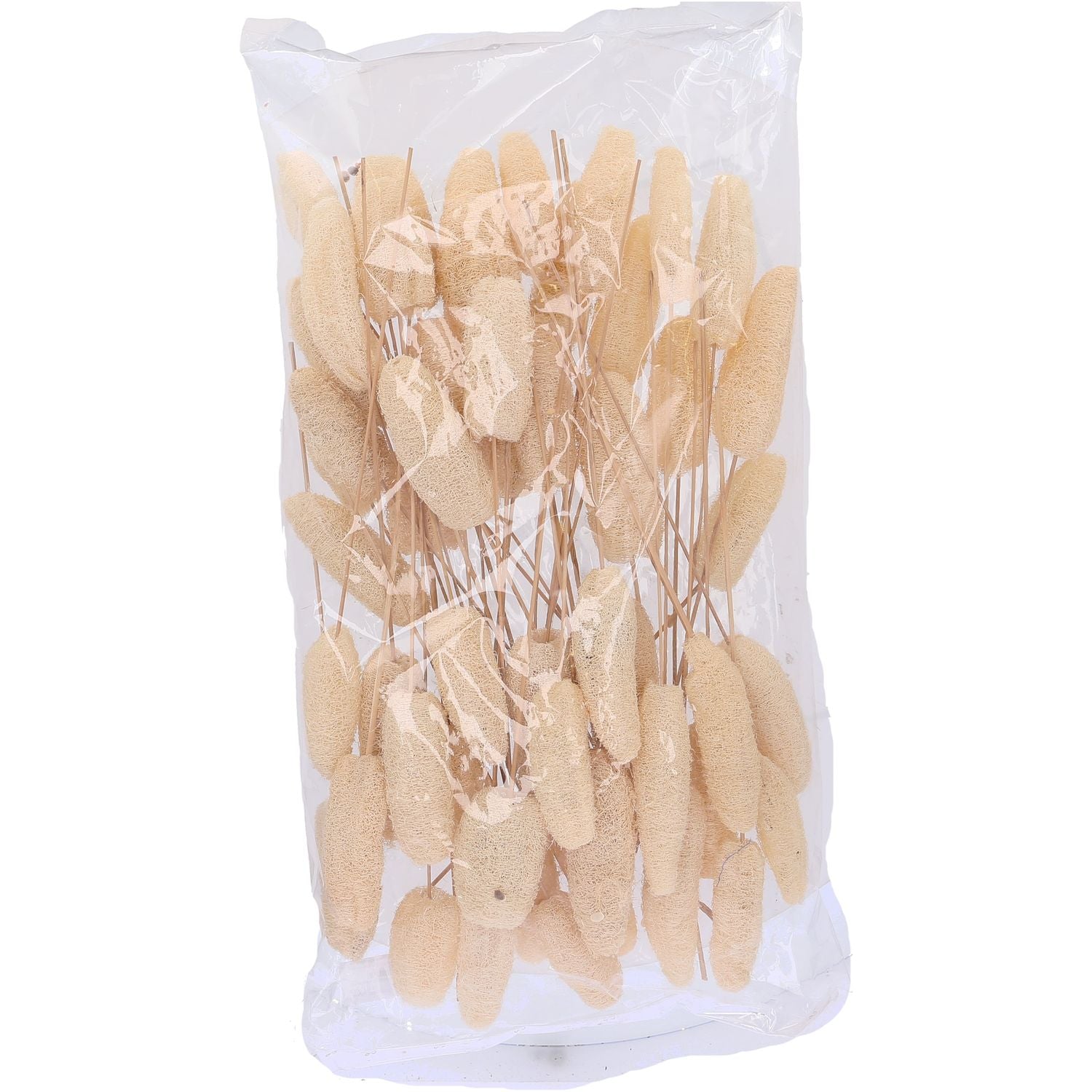 Luffa-Kopf am Stiel - 50 Stück - Poly - gebleicht