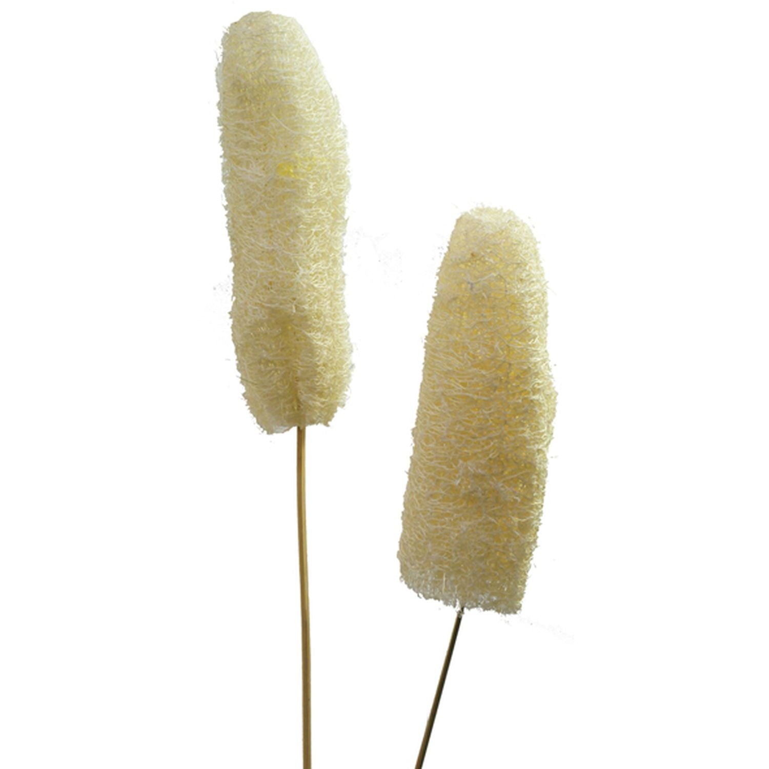 Luffa-Kopf am Stiel - 50 Stück - Poly - gebleicht