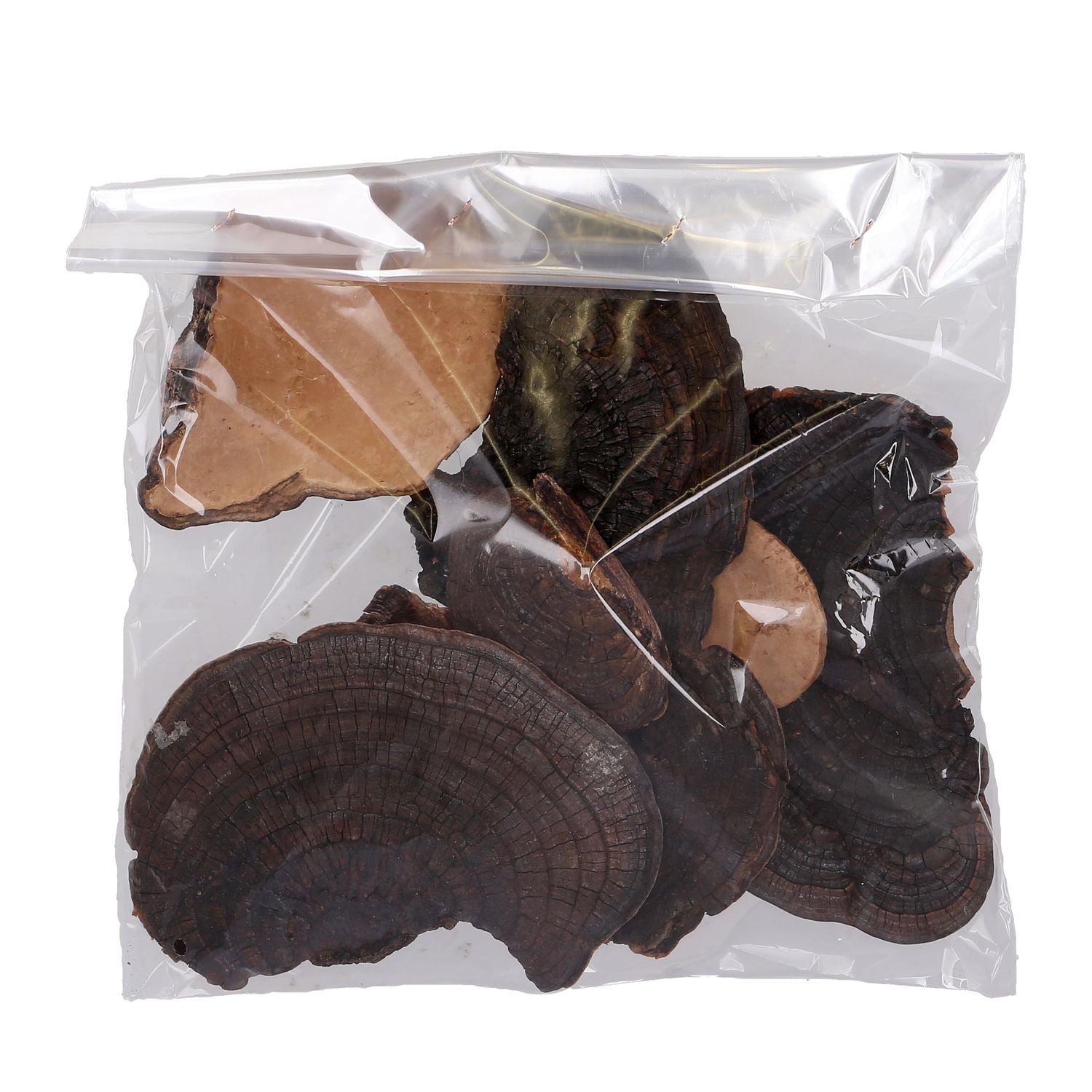 Baumschwamm - 1 kg - natur dunkel