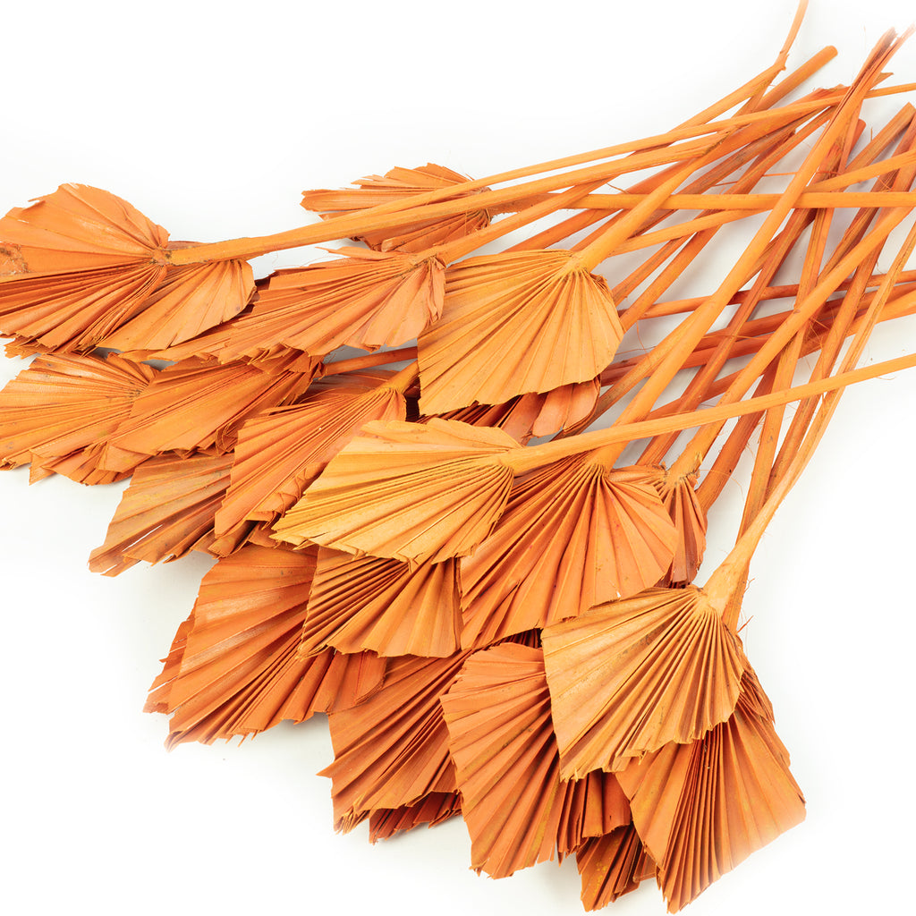 Palmspear mini - 100 Stück Beutel - curry-gelb