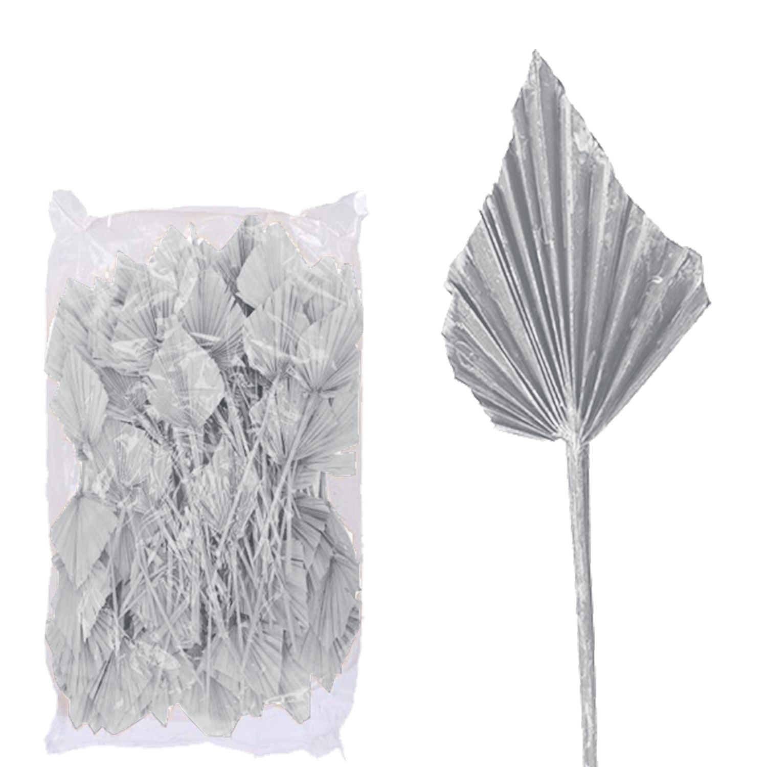 Palmspear ind. groß - 100 Stück Beutel - frost-weiß