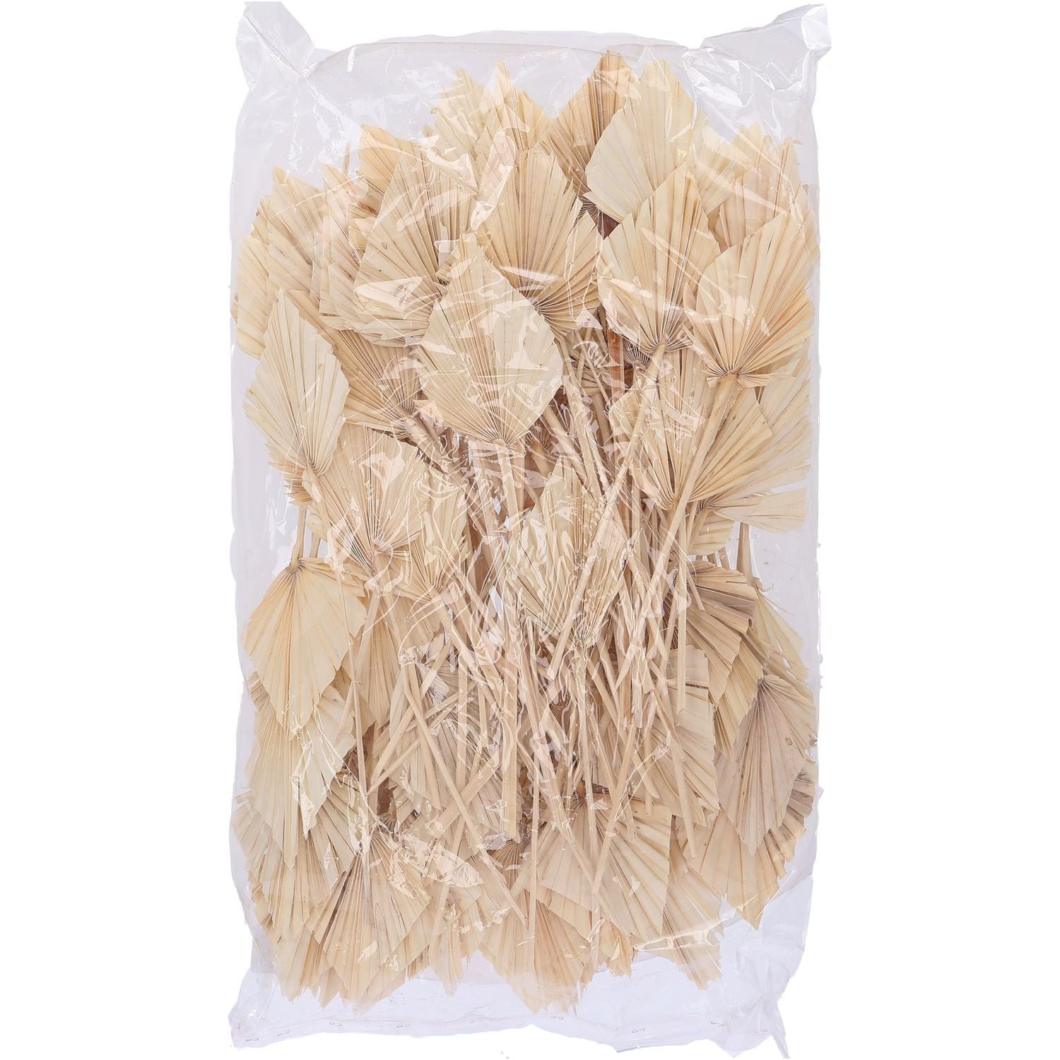 Palmspear indisch groß - 100 Stück im Beutel - gebleicht