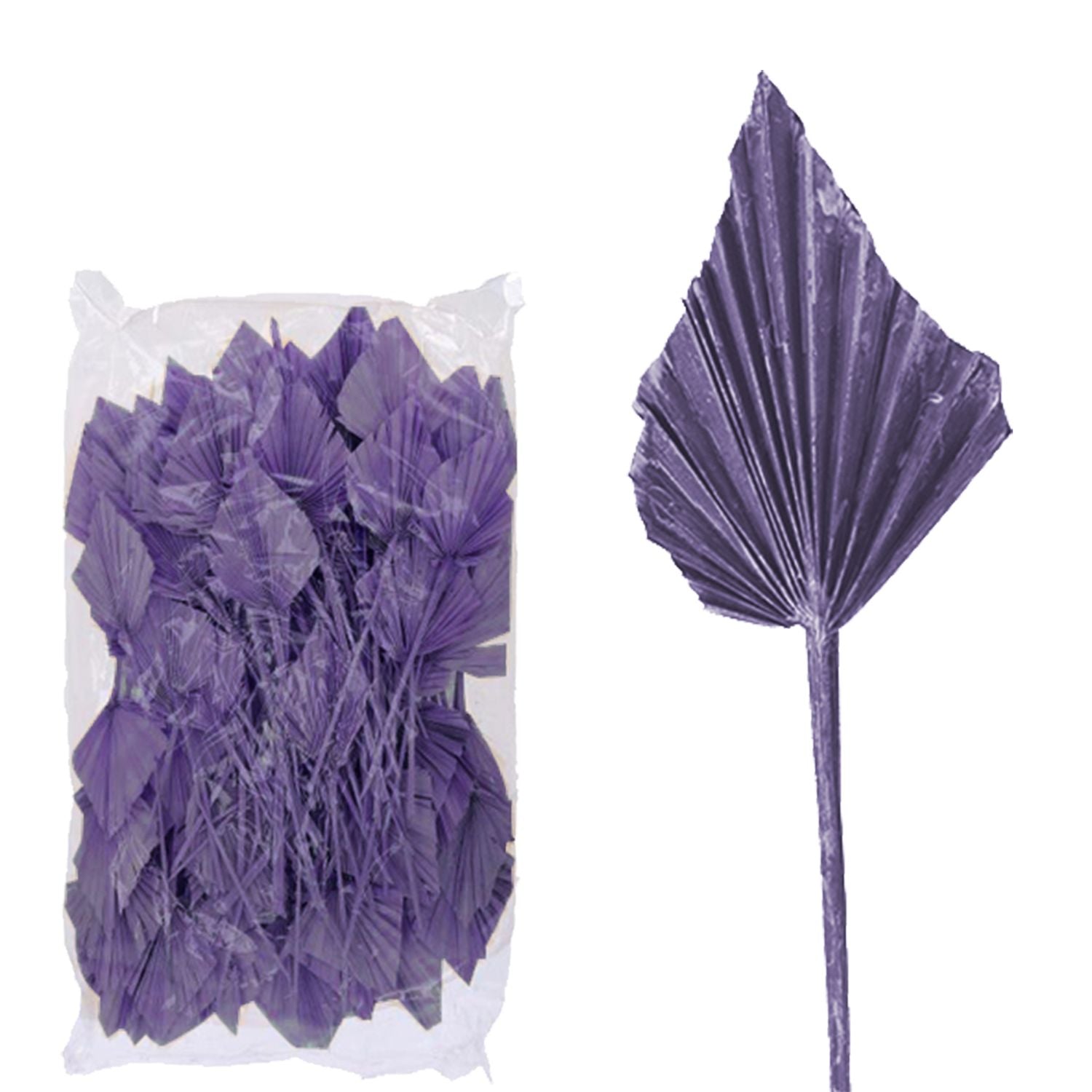 Palmspear ind. groß - 100 Stück Beutel - frost-brombeer