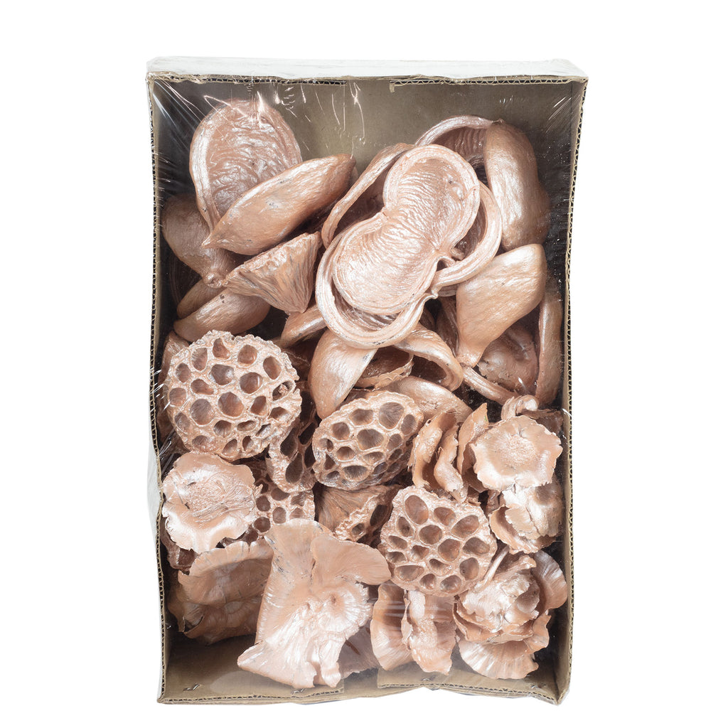 Exotensortiment Pear - 60 Stück - pearl pink