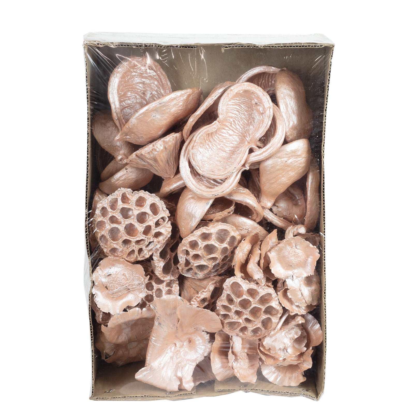 Exotensortiment Pear - 60 Stück - pearl pink