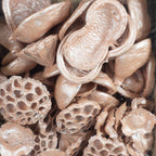 Exotensortiment Pear - 60 Stück - pearl pink