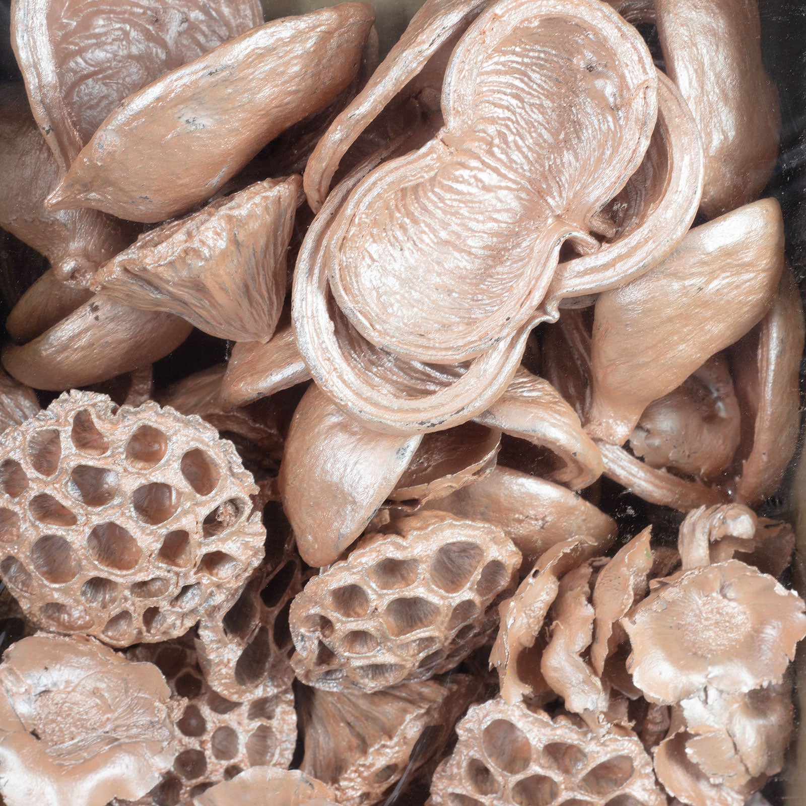 Exotensortiment Pear - 60 Stück - pearl pink