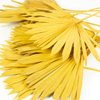 Palmsun mit Stiel - 50 Stück Beutel - curry-gelb