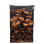 Protea Repens Rosette - 8-9 cm - ca. 100 Stück - hell