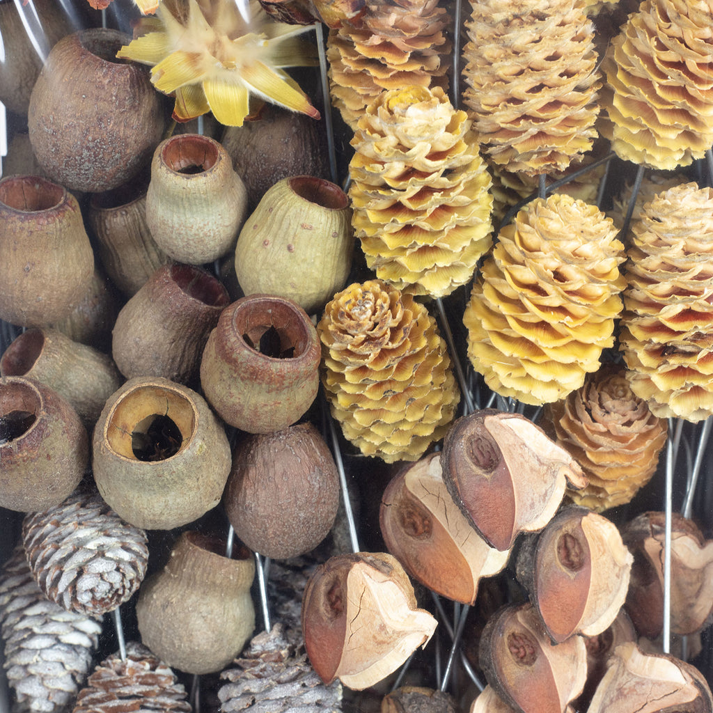 Leuco natur am Draht - 100 Stück - natur