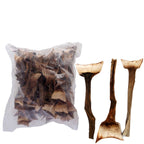 Agave Mini - natur - 1 kg Beutel