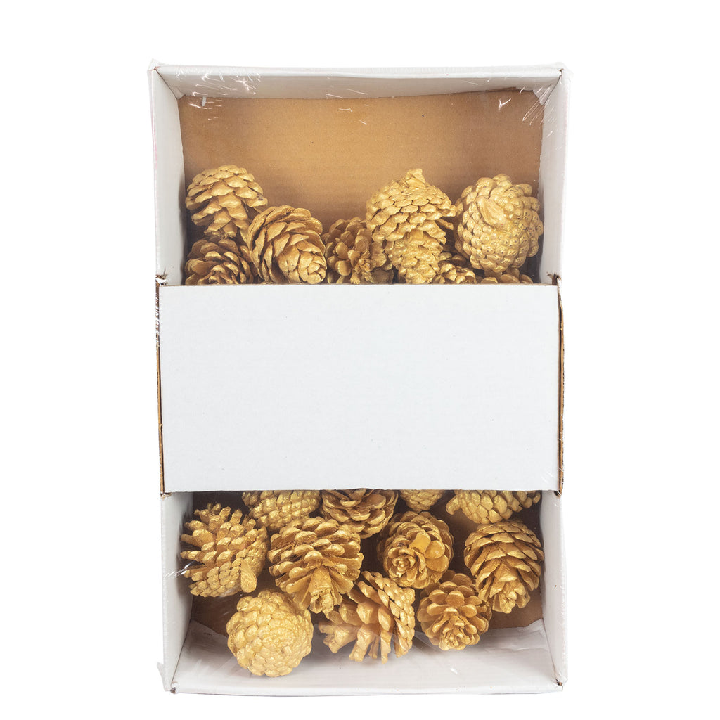 Kiefernzapfen "Glow" - 25 Stück - pearl-gold