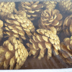 Kiefernzapfen "Glow" - 25 Stück - pearl-gold