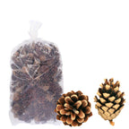 Sylvestris (Waldkiefer) - 2 kg - natur