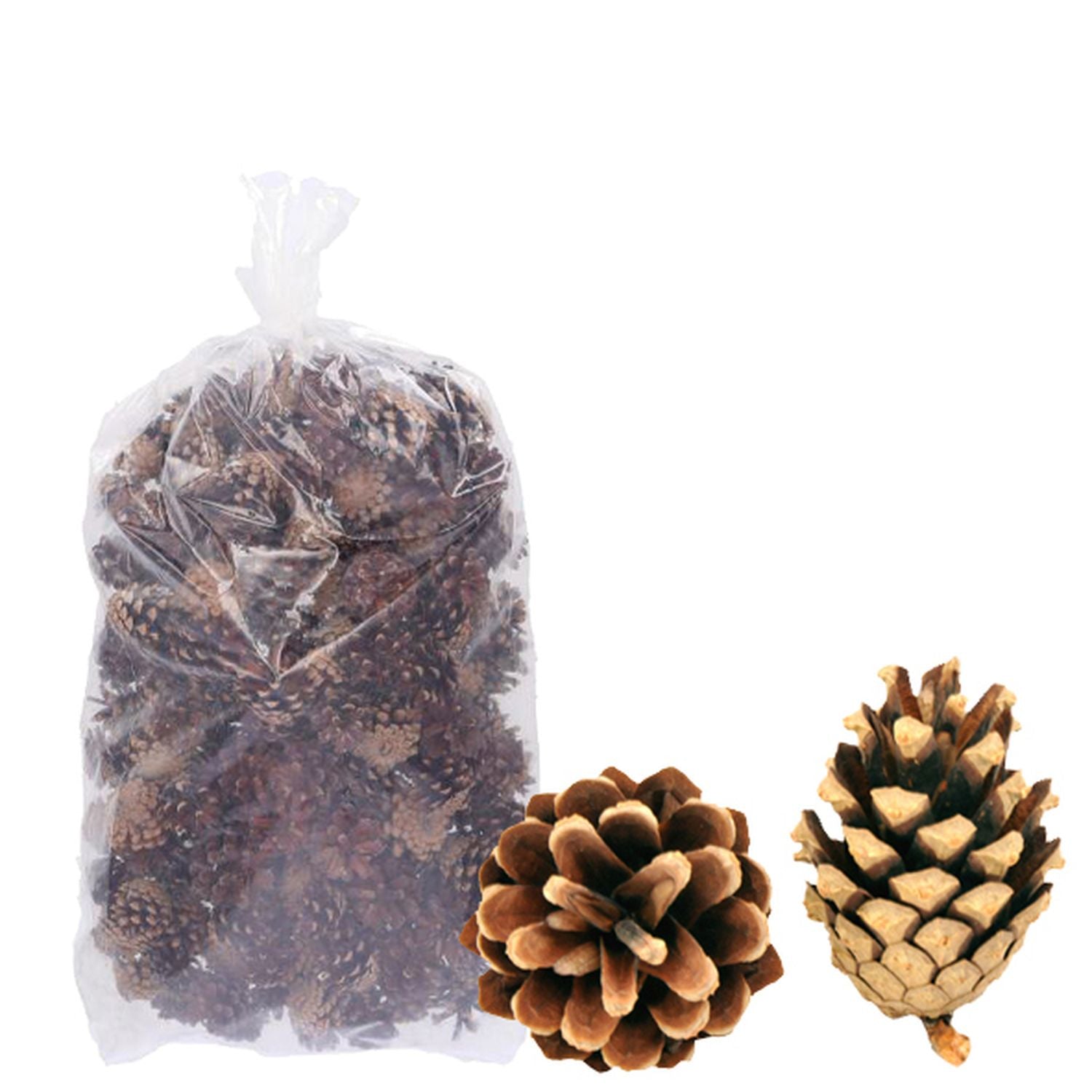 Sylvestris (Waldkiefer) - 2 kg - natur