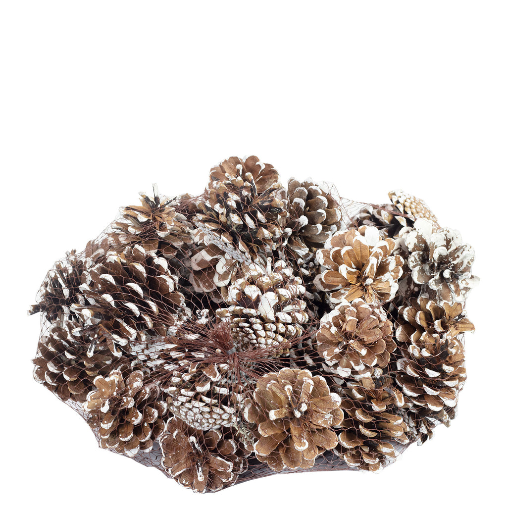 Schwarzkiefern - 1 kg - natur - Länge ca. 5-8 cm - weiß-tipped