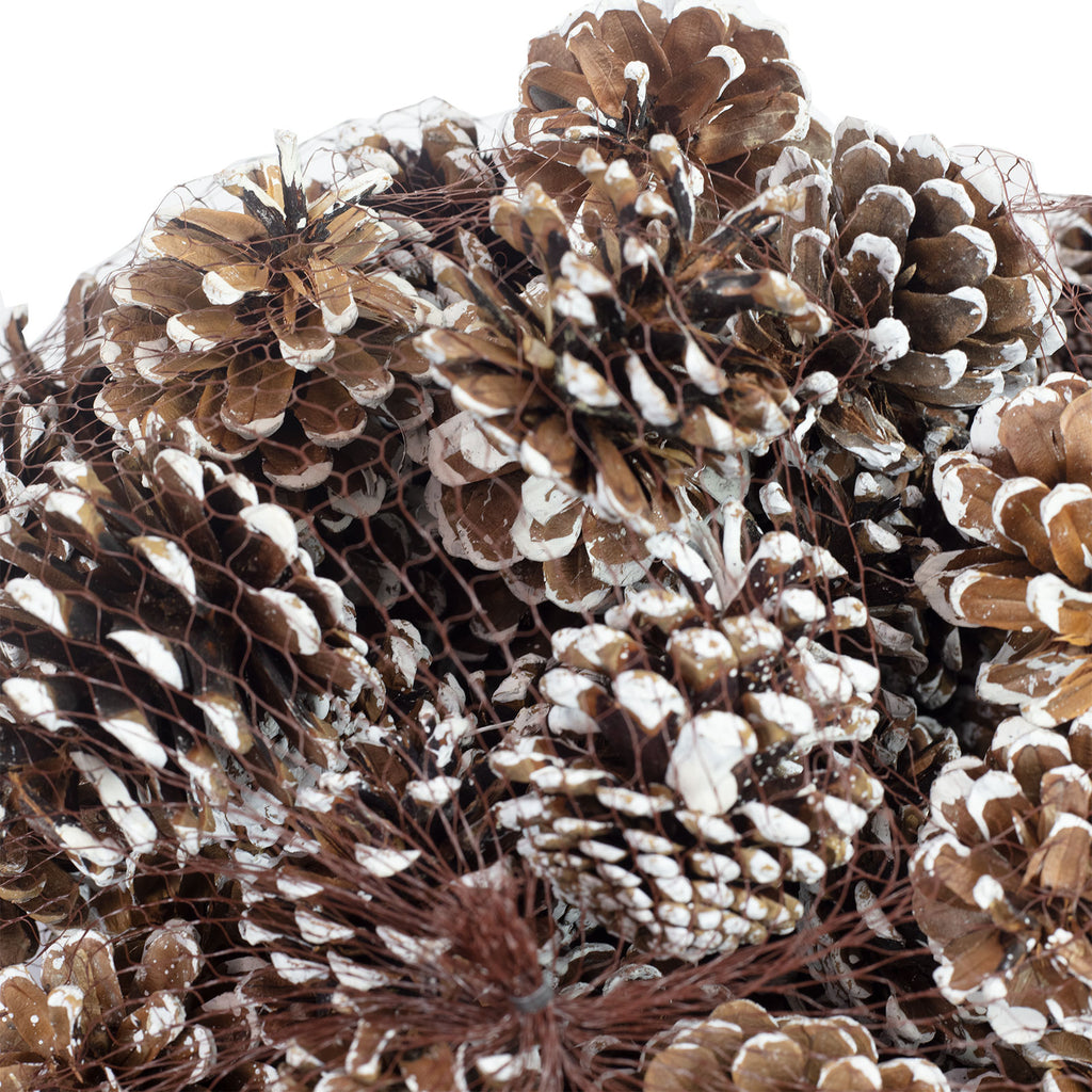 Schwarzkiefern - 1 kg - natur - Länge ca. 5-8 cm - weiß-tipped