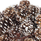 Schwarzkiefern - 1 kg - natur - Länge ca. 5-8 cm - weiß-tipped